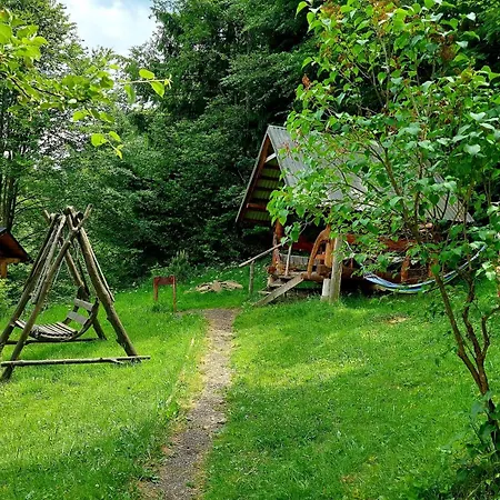 під боржавою Domek alpejski *