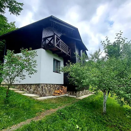 під боржавою