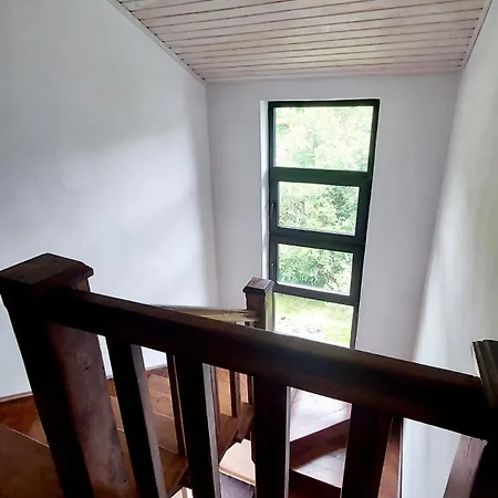 під боржавою Chalet