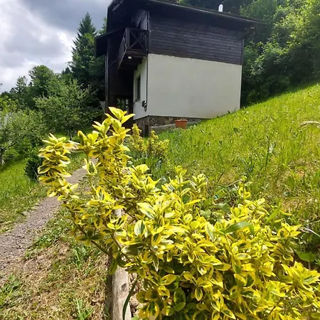 під боржавою Domek alpejski