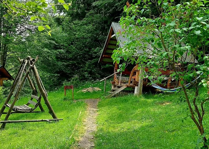 під боржавою Chalet *