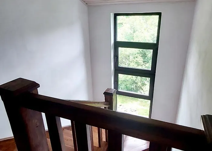 під боржавою Chalet