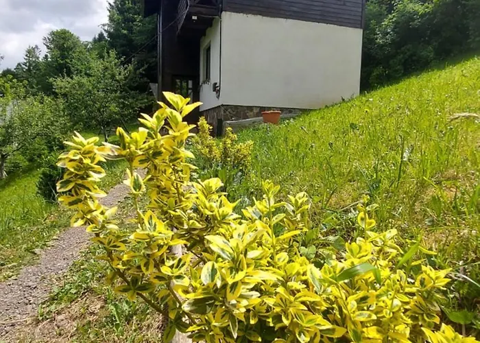 під боржавою Chalet